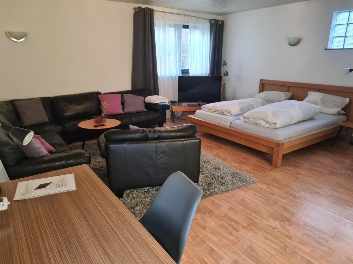 Apartment Zum Wohlfuehlen In Ruhiger Lage Pfungstadt Exterior foto